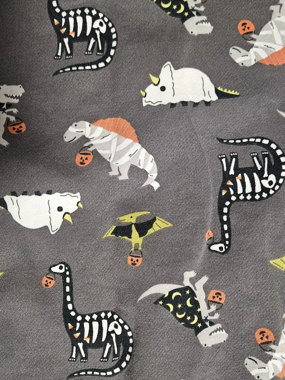 Kids Gray Dino Print Sweatshirt